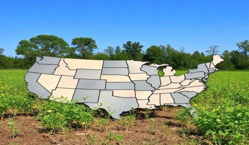 USA’s Top 15 Pesticide Firms & Why We Matter