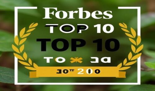 Modern Pest Services Joins Forbes Top 10 Pest Control Firms